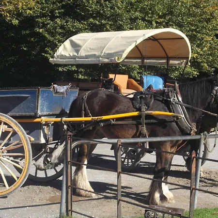 Kerry Homes At The Village Vakantiehuis Killarney